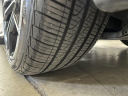 Thumbnail image of 2021 BMW 3 Series at North Port Motors