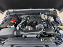 2024 Jeep Wrangler Willys at Toyota-Lexus Of Kingsport