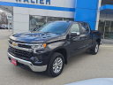 Thumbnail image of 2022 Chevrolet Silverado 1500 at Walier Chevrolet