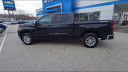 Thumbnail image of 2022 Chevrolet Silverado 1500 at Walier Chevrolet