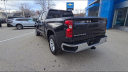 Thumbnail image of 2022 Chevrolet Silverado 1500 at Walier Chevrolet