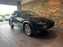 Thumbnail image of 2021 Lexus NX 300 at Lexus Of Lehigh Valley