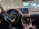Thumbnail image of 2021 Lexus NX 300 at Lexus Of Lehigh Valley