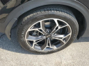 Thumbnail image of 2022 Kia Sportage at Subaru of Grand Blanc