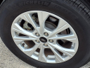 2023 Ford Escape Active at Cecil Atkission Ford Lincoln Del Rio