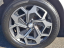 Thumbnail image of 2022 Hyundai PALISADE at Brogan Cadillac of Totowa