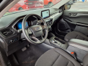 Thumbnail image of 2024 Ford Escape at Mccarthy Ford