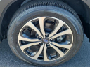 Thumbnail image of 2024 Subaru Forester at VictoryLayneChevrolet of Ft. Myers, FL