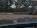 Thumbnail image of 2025 INFINITI QX80 at LaFontaine Infiniti of Ann Arbor