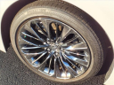 Thumbnail image of 2020 Lexus LS 500 at Serra Buick Gmc Champaign