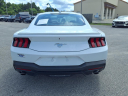 Thumbnail image of 2024 Ford Mustang at Sanders Ford