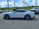 Thumbnail image of 2024 Ford Mustang at Sanders Ford