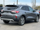 Thumbnail image of 2022 Ford Escape at Lasco Ford