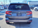 Thumbnail image of 2021 Honda Odyssey at Serra Buick Gmc Champaign