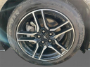 Thumbnail image of 2023 Ford Mustang at LaFontaine Ford Birch Run