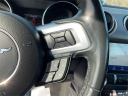 Thumbnail image of 2023 Ford Mustang at LaFontaine Ford Birch Run