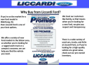 Thumbnail image of 2011 Ford F-250 Super Duty at Liccardi Ford Lincoln