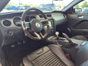 Thumbnail image of 2012 Ford Shelby GT500 at Champion Ford
