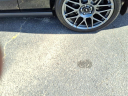 Thumbnail image of 2012 Ford Shelby GT500 at Champion Ford