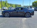 Thumbnail image of 2012 Ford Shelby GT500 at Champion Ford