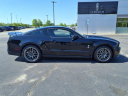 Thumbnail image of 2012 Ford Shelby GT500 at Champion Ford