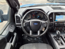 Thumbnail image of 2019 Ford F-150 at Harrison Ford Of Mankato