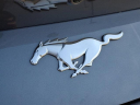 Thumbnail image of 2024 Ford Mustang at J L Freed Honda (Used)