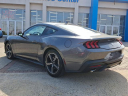 Thumbnail image of 2024 Ford Mustang at J L Freed Honda (Used)