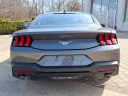 Thumbnail image of 2024 Ford Mustang at J L Freed Honda (Used)