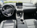 Thumbnail image of 2021 Lexus NX 300 at Lexus of Freeport