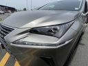 Thumbnail image of 2021 Lexus NX 300 at Lexus of Freeport