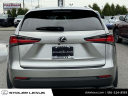 Thumbnail image of 2021 Lexus NX 300 at Stoler Lexus