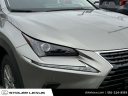 Thumbnail image of 2021 Lexus NX 300 at Stoler Lexus