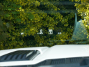 Thumbnail image of 2024 Ford F-150 at Wendle Motors Pre-Owned - Used