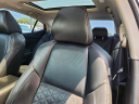 Thumbnail image of 2019 Nissan Maxima at Piazza Acura Honda of Reading