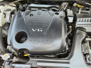 Thumbnail image of 2019 Nissan Maxima at Piazza Acura Honda of Reading
