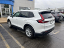 Thumbnail image of 2024 Honda CR-V at Serra Honda Brighton