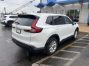 Thumbnail image of 2024 Honda CR-V at Serra Honda Brighton