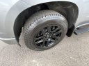 Thumbnail image of 2023 Chevrolet Silverado 1500 at JimMladyNissan USED