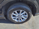 Thumbnail image of 2025 Mazda CX-5 at Dave White Acura