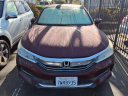 Thumbnail image of 2017 Honda Accord at Shottenkirk Honda Of Davis