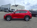 Thumbnail image of 2023 Mazda CX-5 at Subaru Of Kings Auto Mall
