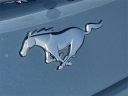 Thumbnail image of 2024 Ford Mustang at David Wilsons Villa Ford