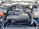 Thumbnail image of 2024 Ford Mustang at David Wilsons Villa Ford