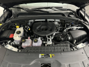 Thumbnail image of 2022 Jeep Grand Cherokee at Dave Smith Dodge Chrysler Jeep Ram Chevrolet GMC Cadillac Buick