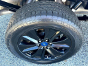 Thumbnail image of 2020 Ford F-150 at HaleyFordOfChester - Used