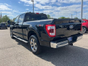 Thumbnail image of 2023 Ford F-150 at Pat Milliken Ford
