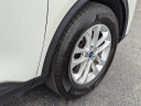 Thumbnail image of 2022 Ford Escape at USED - Terry's Ford of Peotone