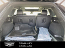 Thumbnail image of 2024 Cadillac XT5 at O'Malley Honda