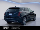 Thumbnail image of 2024 Cadillac XT5 at O'Malley Honda
